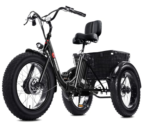 Electric Tricycle with 20" x 4.0 Fat Tire, 36V 350W 13Ah Lithium Battery Z68633