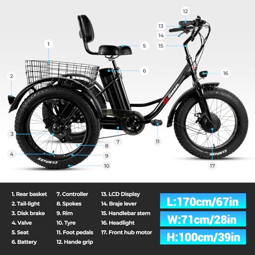 Electric Tricycle with 20" x 4.0 Fat Tire, 36V 350W 13Ah Lithium Battery Z68633