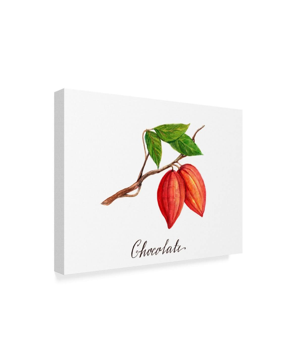Canvas Art 35x47 Brown C92646