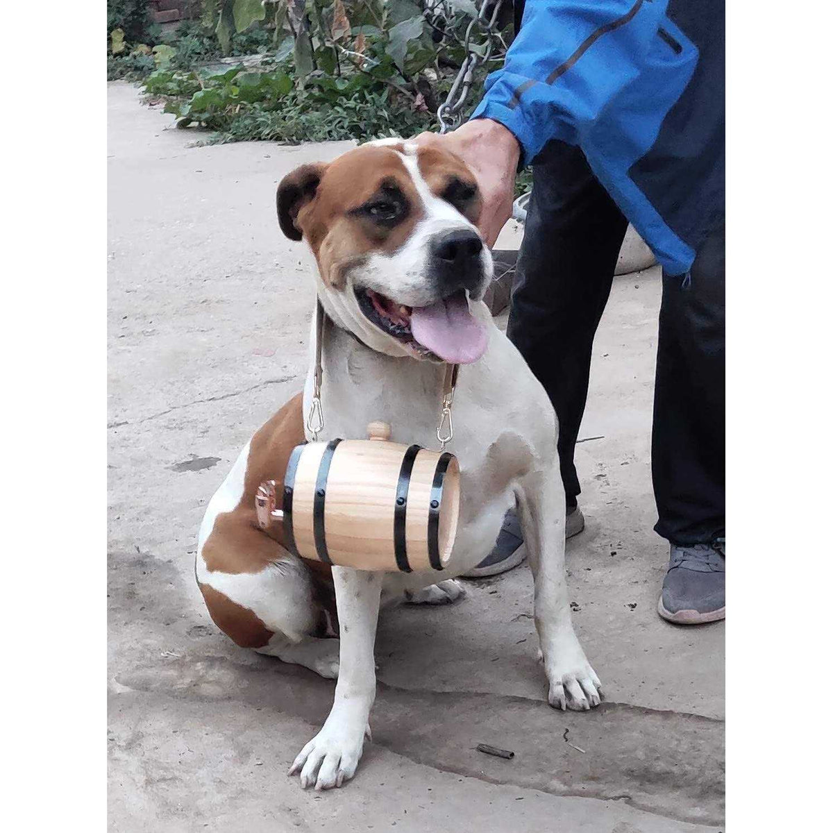 1/2 Liter Size Barrel Collar with Adjustable Hoops R1009
