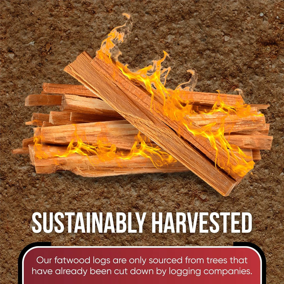 10lb Fatwood Fire Starter Pack F57525