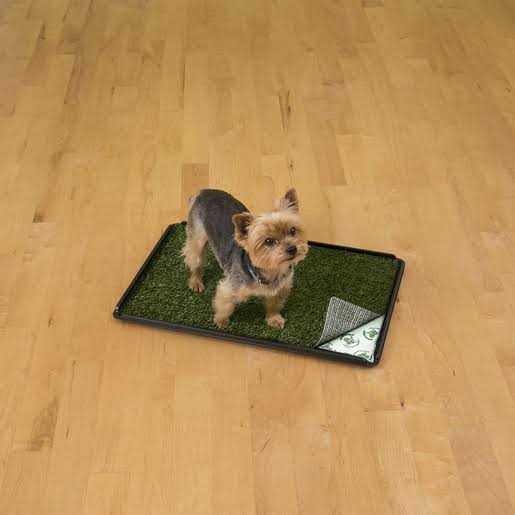 Indoor Turf Dog Potty Y985