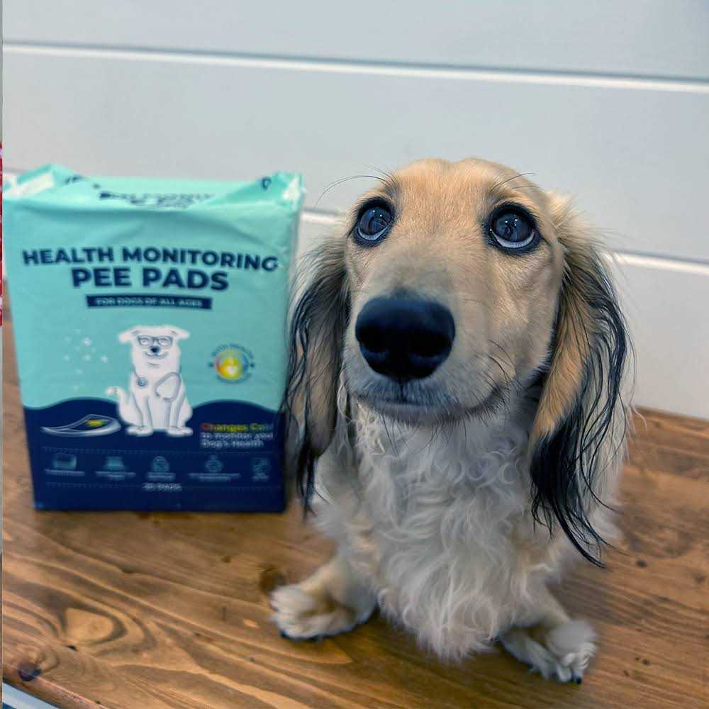Health Monitoring Pee Pads Y12686
