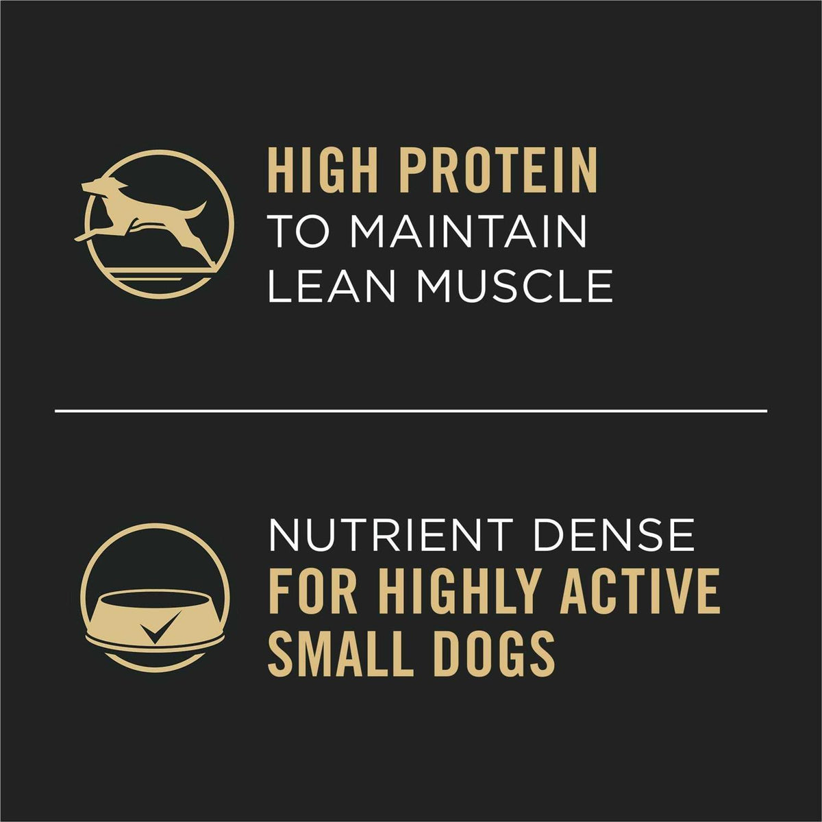 Adult Small Breed Wet Dog Food G65337