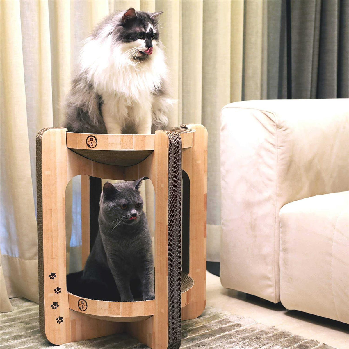 Cat Scratcher Tower B476044
