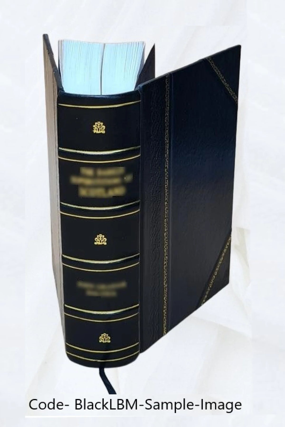 Leather Bound Book A814240
