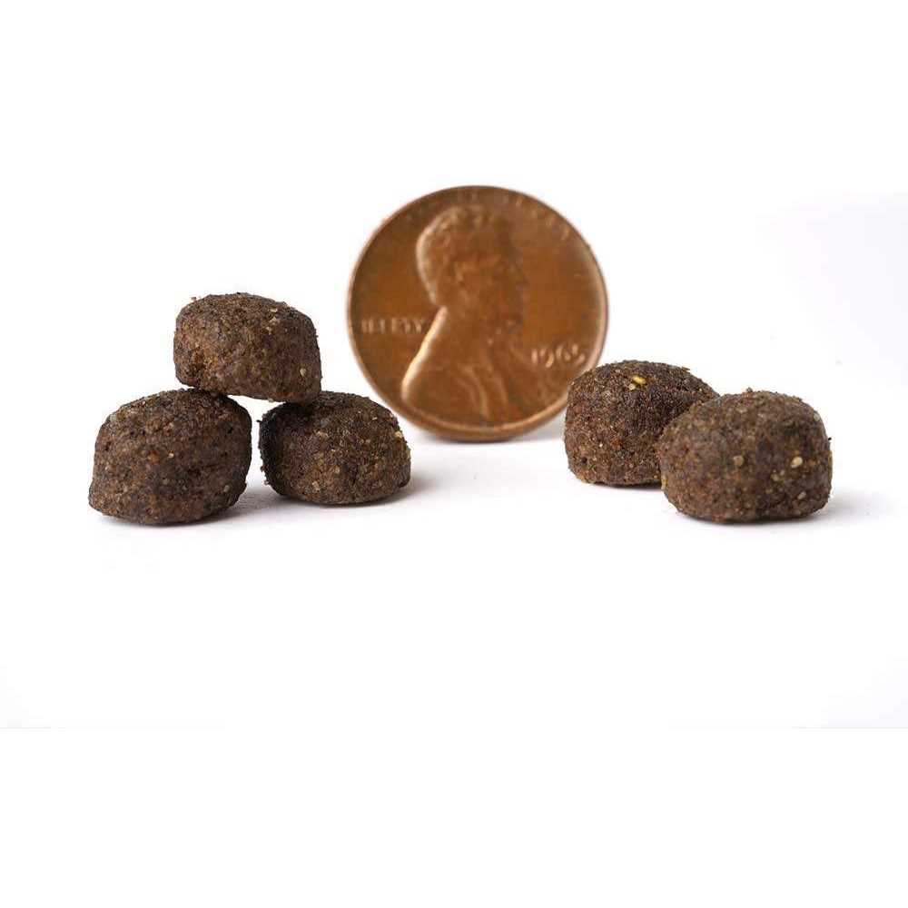 Grain Free Dry Dog Food A72438