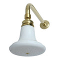 Polished Brass Shower Heads F620585