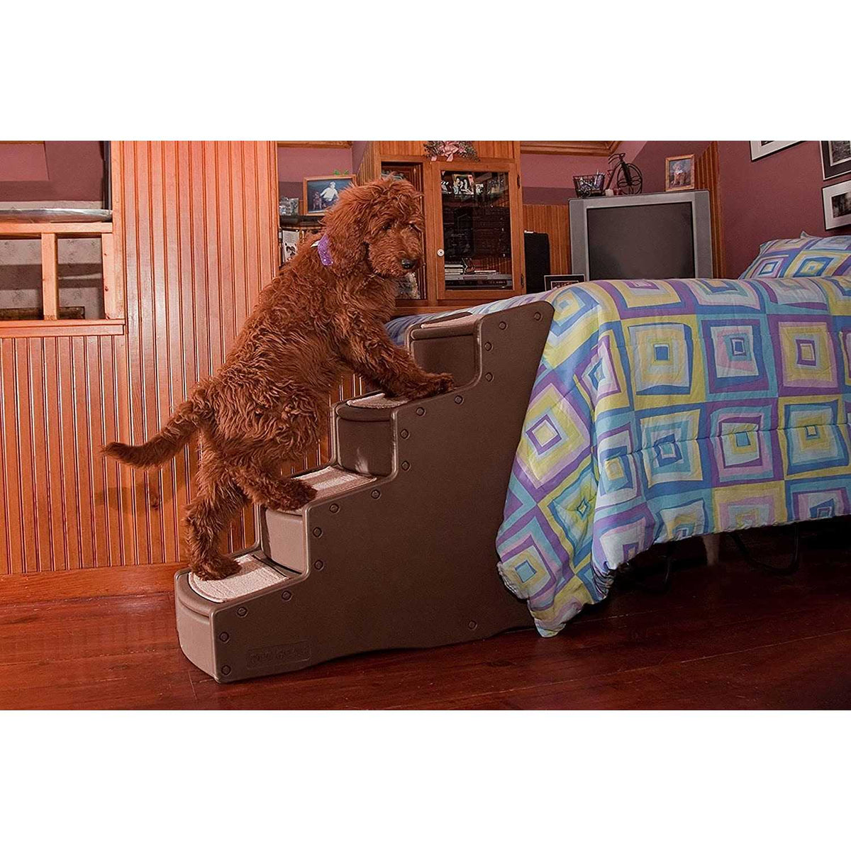 Pet Gear Easy Step IV S54041