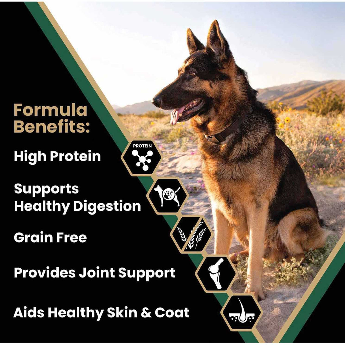 Grain Free Dry Dog Food A72438