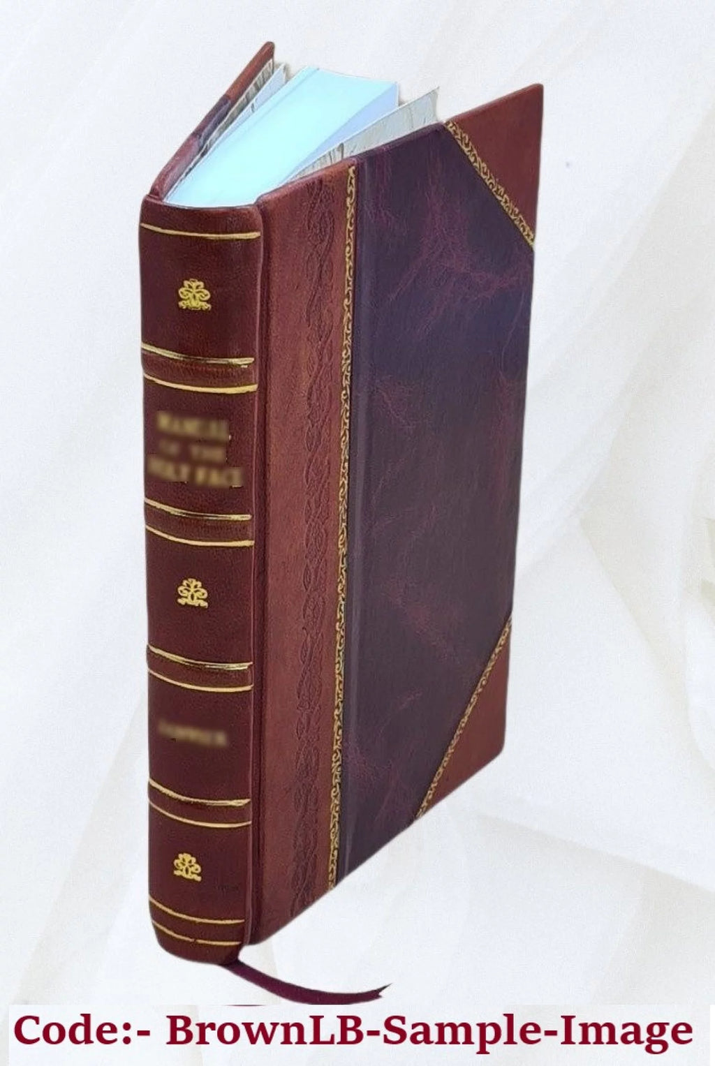 Leather Bound V4363