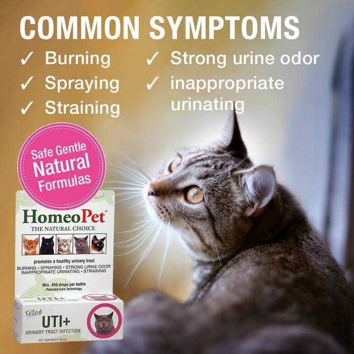 Feline UTI+ C49563