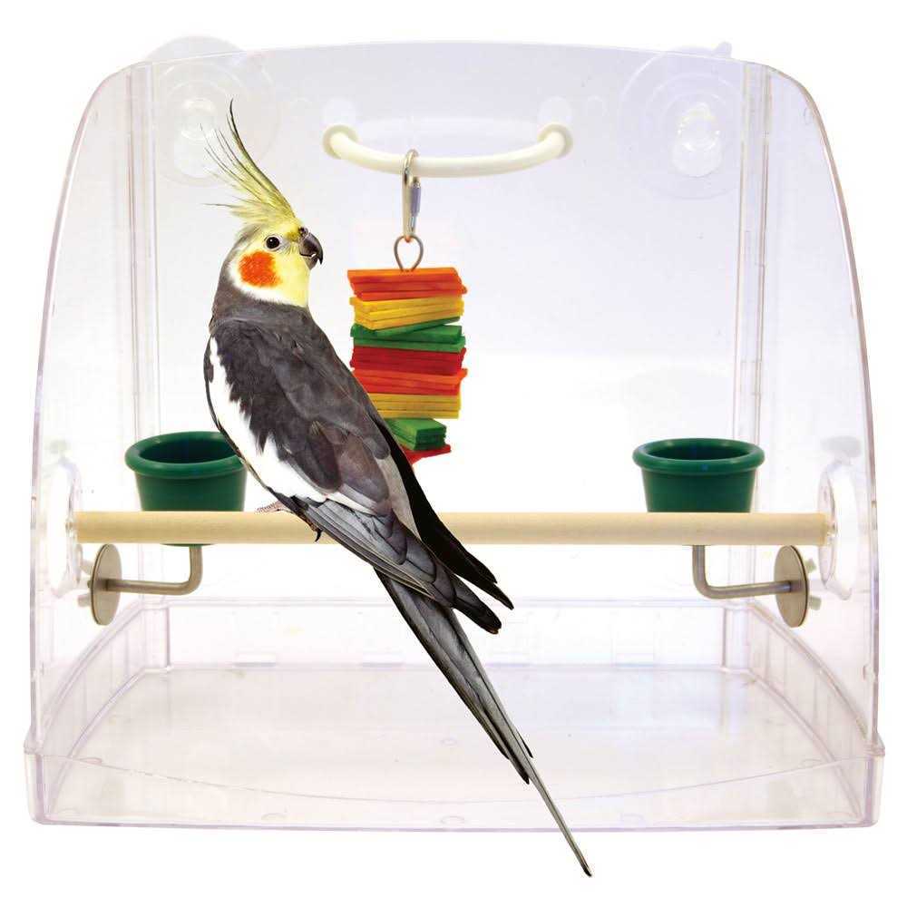 Window Play Center O5340