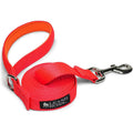 10 Foot Dog Leash with Padded Handle W247845