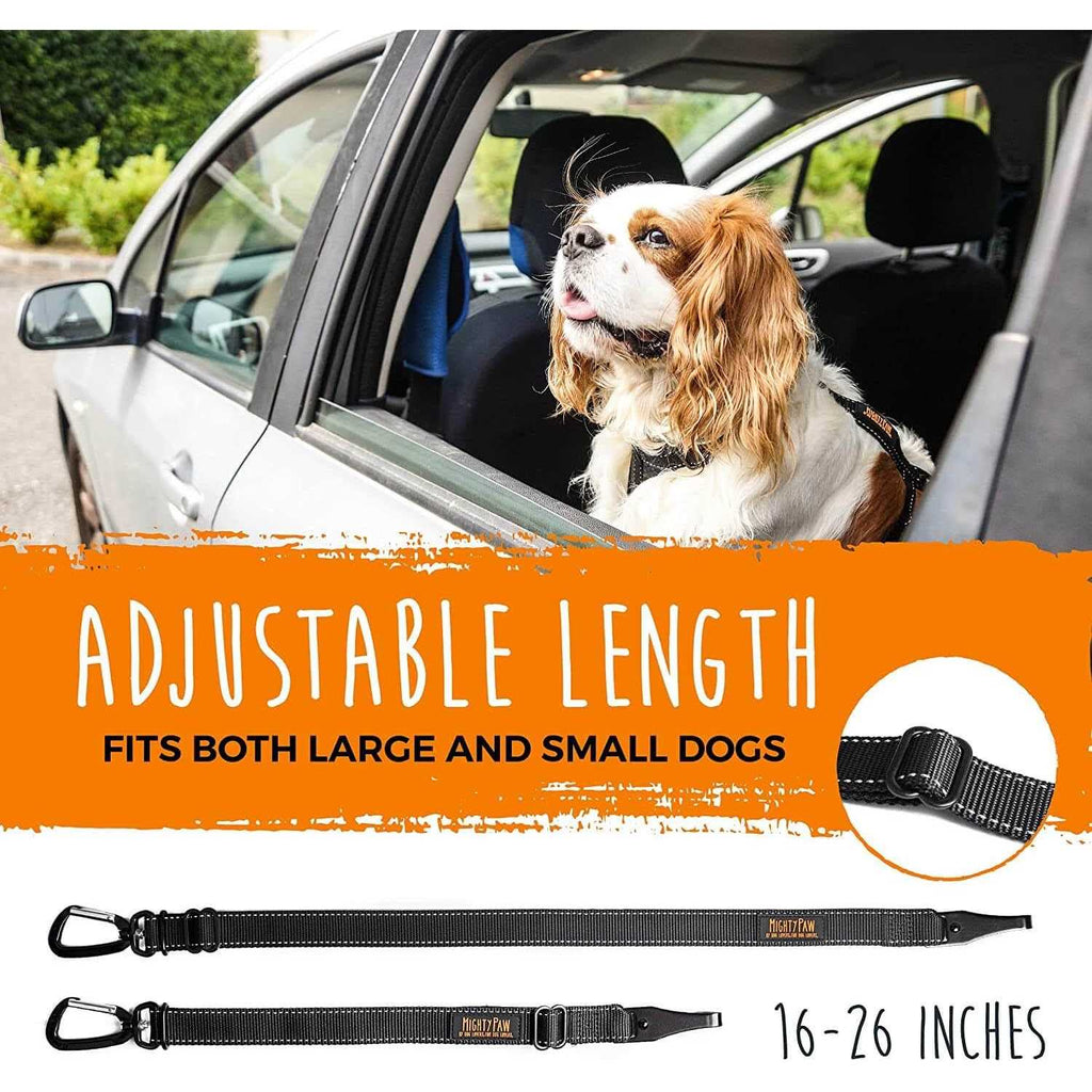 Dog Seat Belt D7227