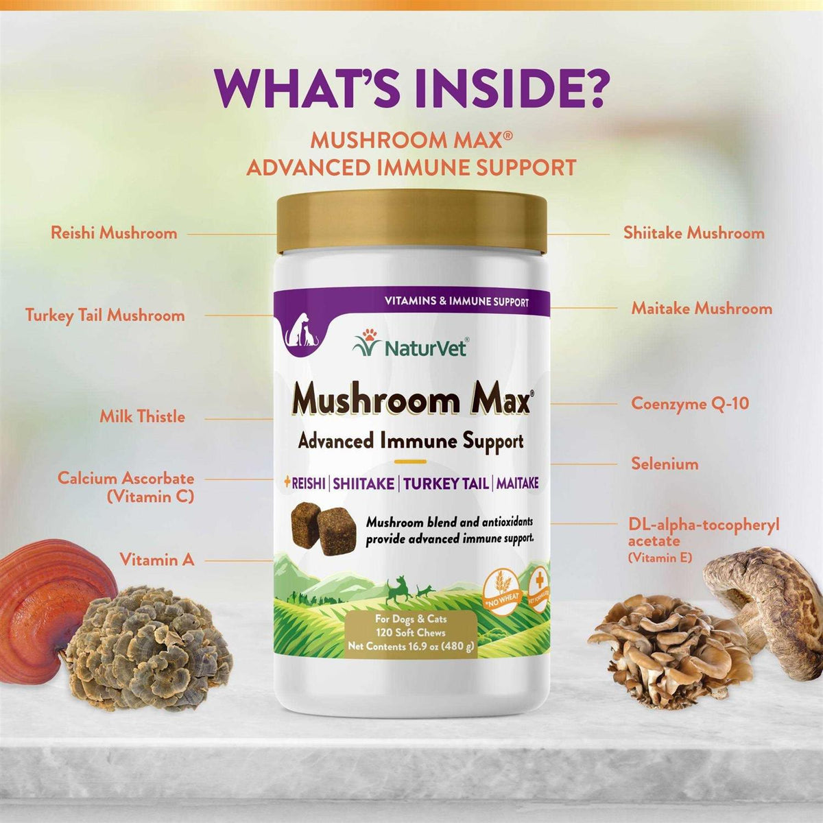 Mushroom Max Immune Support Soft Chews for Dogs & Cats G7109