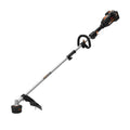 40V Cordless String Trimmer V172681