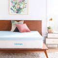 3 inch Gel Infused Memory Foam Mattress Topper U173