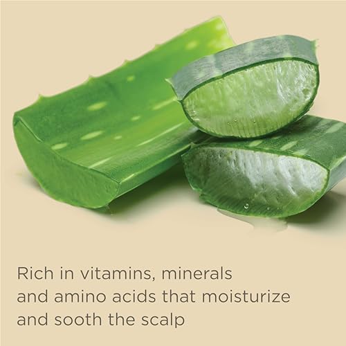 Moisture Shampoo and Conditioner Set with Jojoba Oil X794476