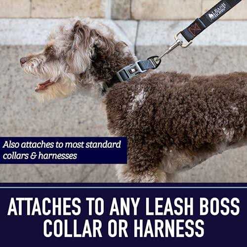 10 Foot Dog Leash with Padded Handle W247845