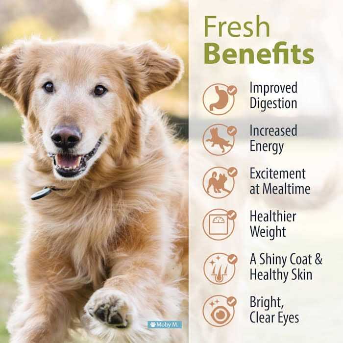 Balanced Frozen Dog Food Y250594