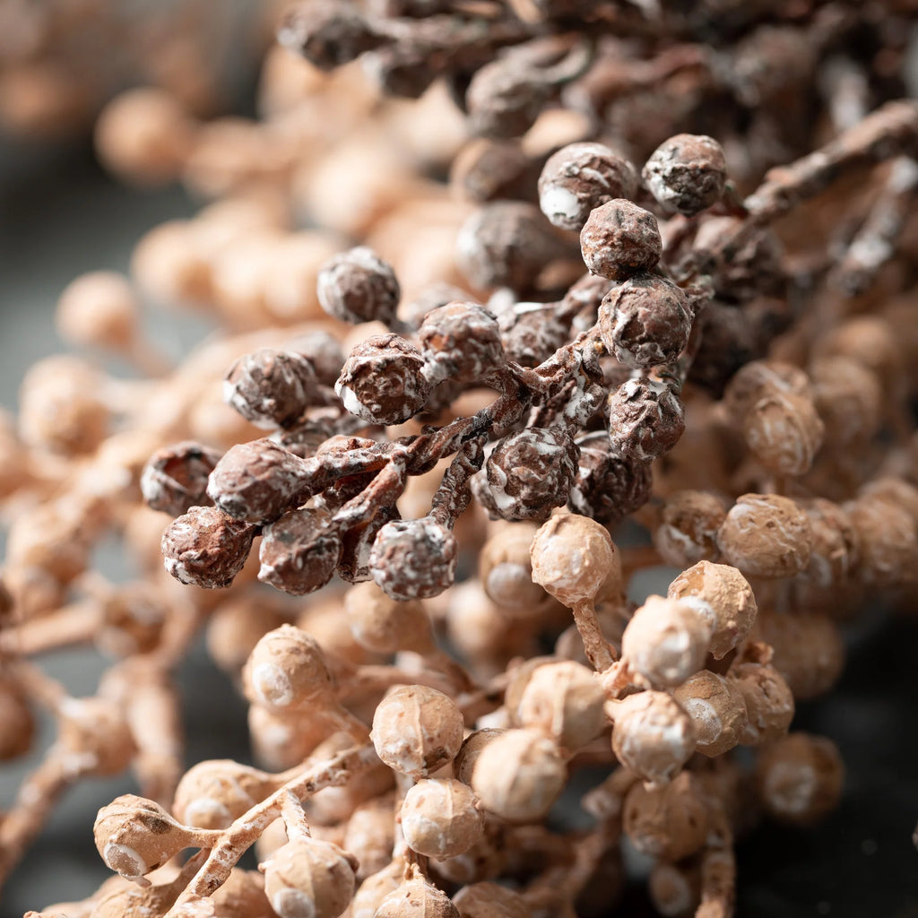 Artificial Dried Blush Berry Stem Set of 2 W86000