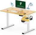 Height Adjustable Electric Sit Stand Desk 40 x 24 Inches O138919