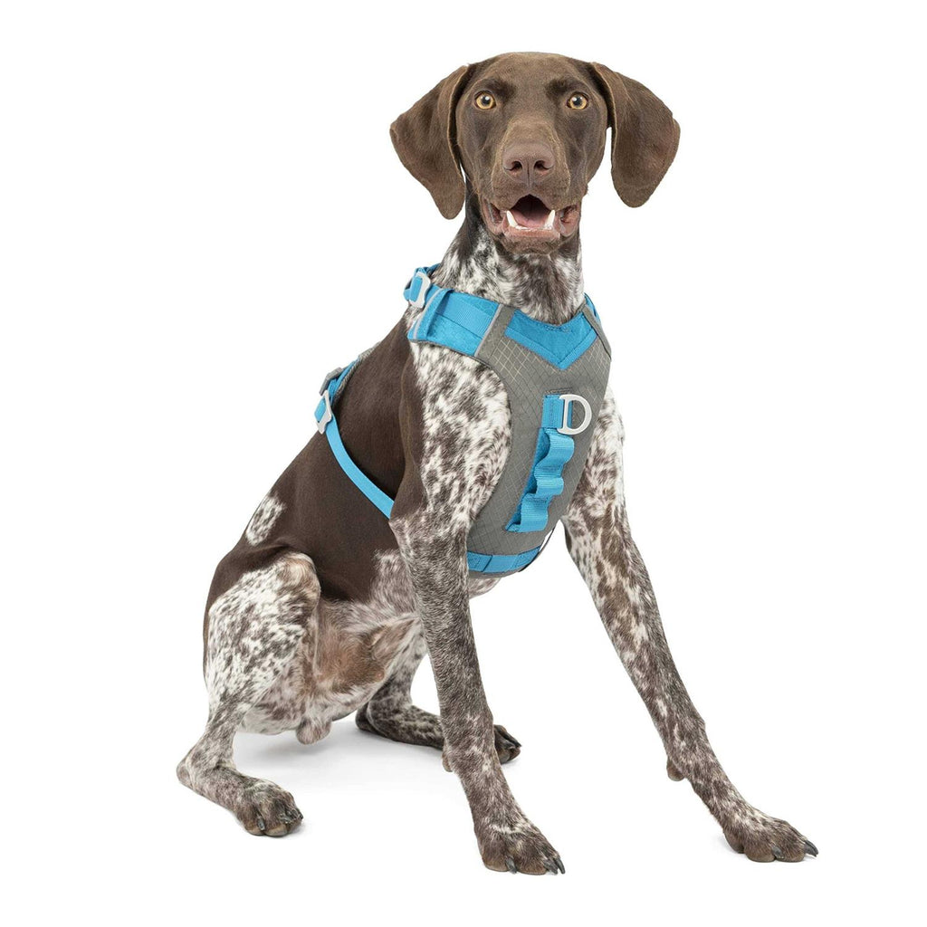 Dog Harness R636