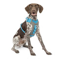 Dog Harness R636
