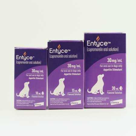 Oral Solution for Dogs F401139