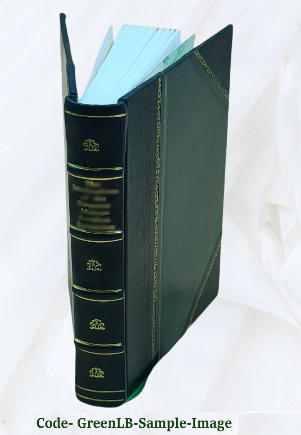 Leather Bound V4363
