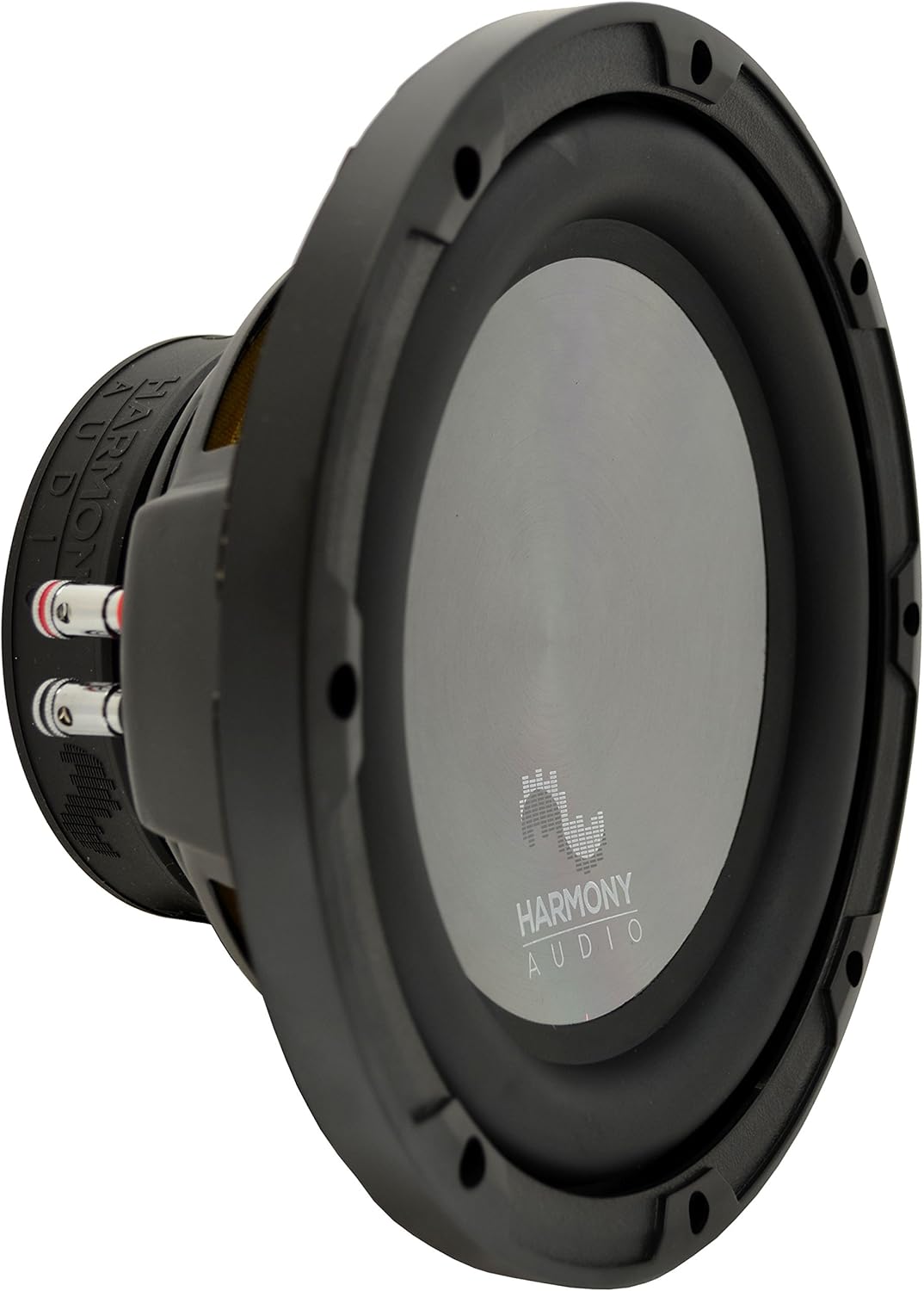 Dual 10 Sub Box Enclosure R483