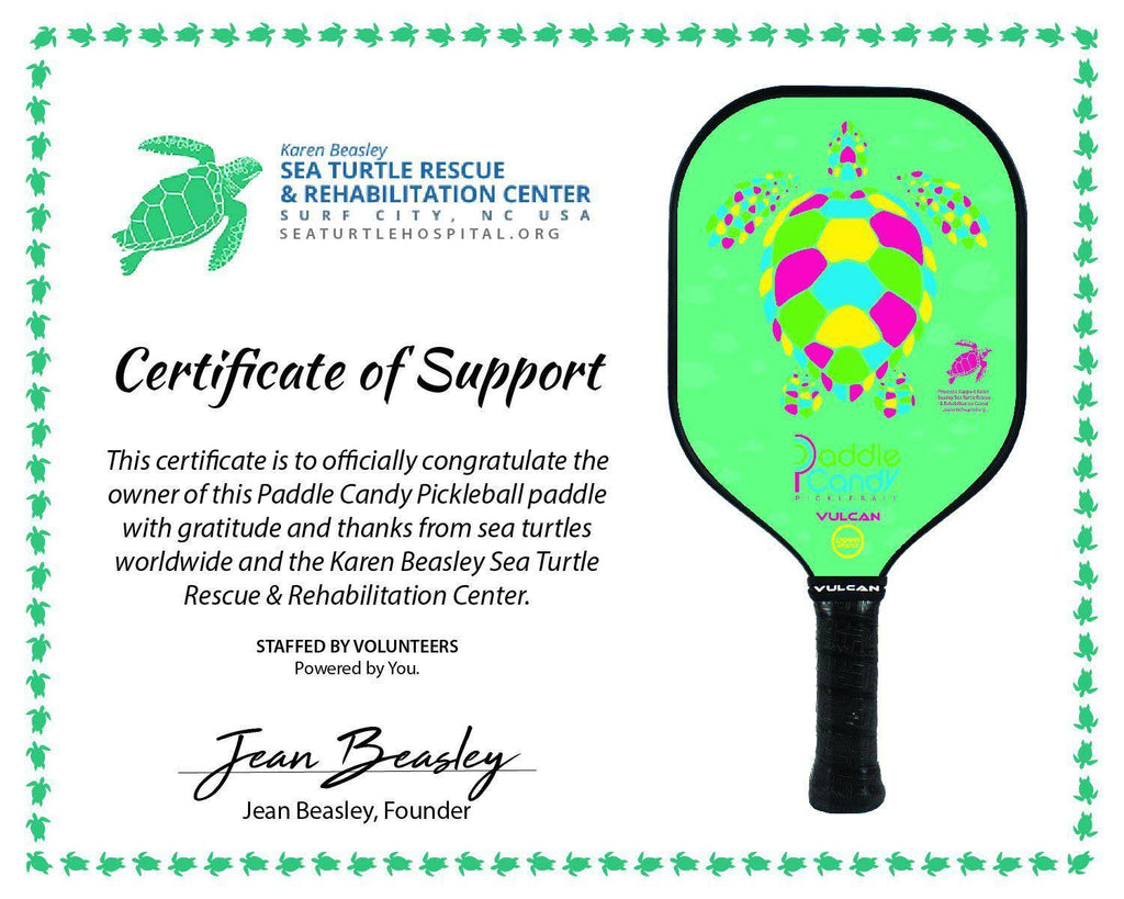 Pickleball Paddle Q97620